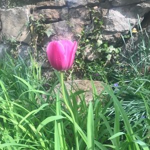 Meet your Posher, Tracy